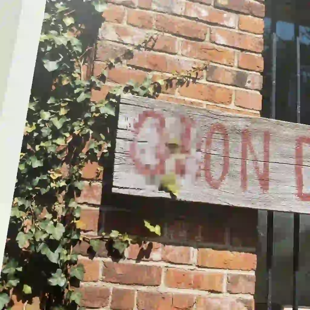 10 Best Apps to Remove Text from Image in 2026